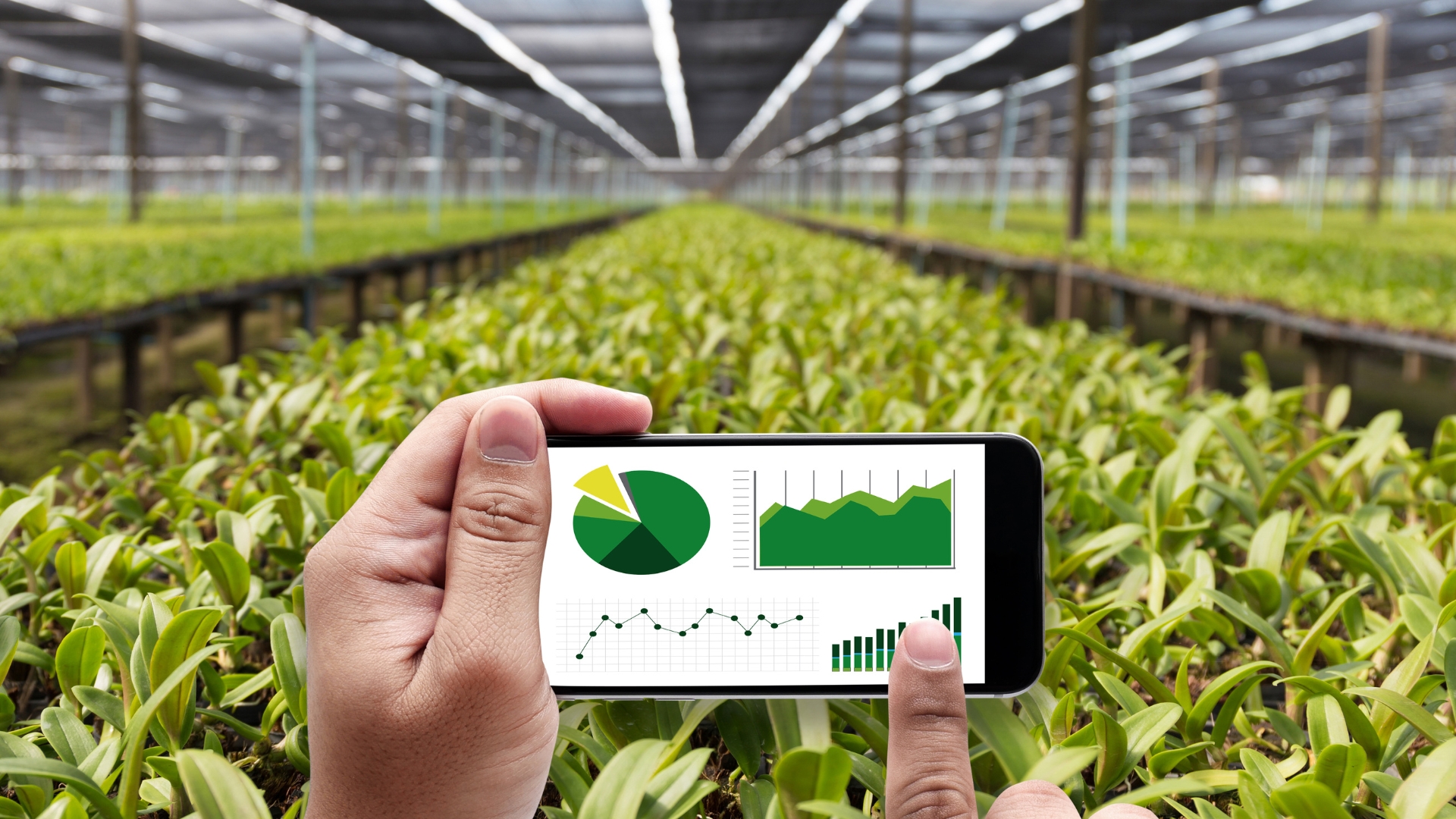 Agriculture Dashboard